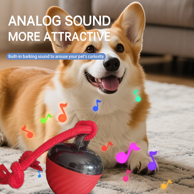 The Ultimate Interactive Smart Dog Ball | 3-Mode Motion & Auto-Play