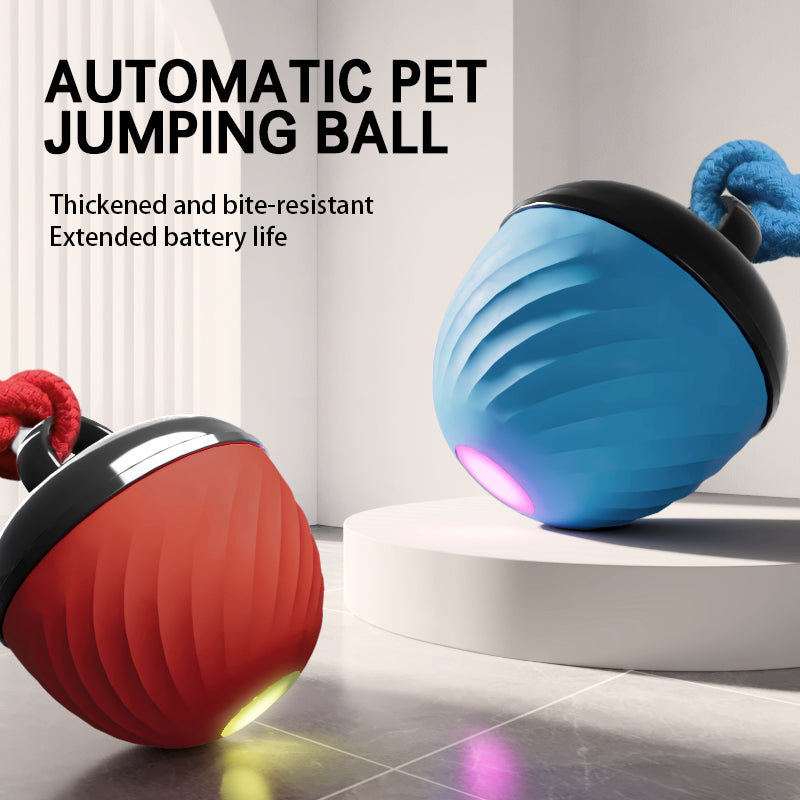 The Ultimate Interactive Smart Dog Ball | 3-Mode Motion & Auto-Play