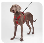 Outdoor Reflective Wear-Resistant Pet Harness