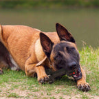 Durable Dog Chew Toys For Aggressive Chewers Food Grade Tooth Cleaning Pet Toy Interactive Dog Toy For Medium Large Dogs