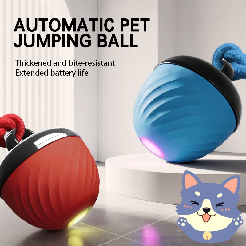 The Ultimate Interactive Smart Dog Ball | 3-Mode Motion & Auto-Play