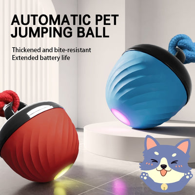 The Ultimate Interactive Smart Dog Ball | 3-Mode Motion & Auto-Play