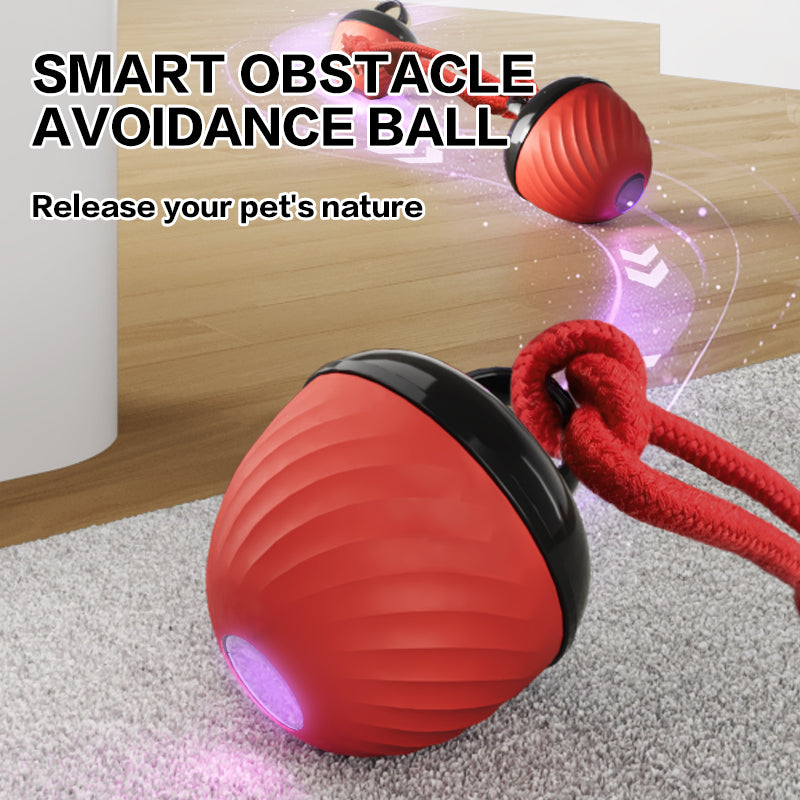 The Ultimate Interactive Smart Dog Ball | 3-Mode Motion & Auto-Play