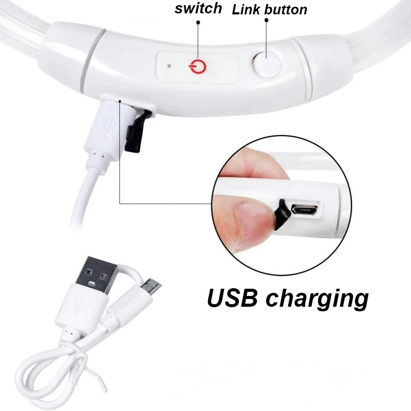 Rechargeable LED Dog Safety Collar