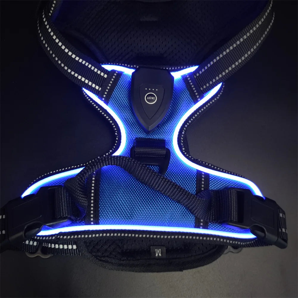 LED Luminous Dog Safety Harness