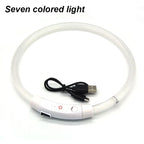 Rechargeable LED Dog Safety Collar