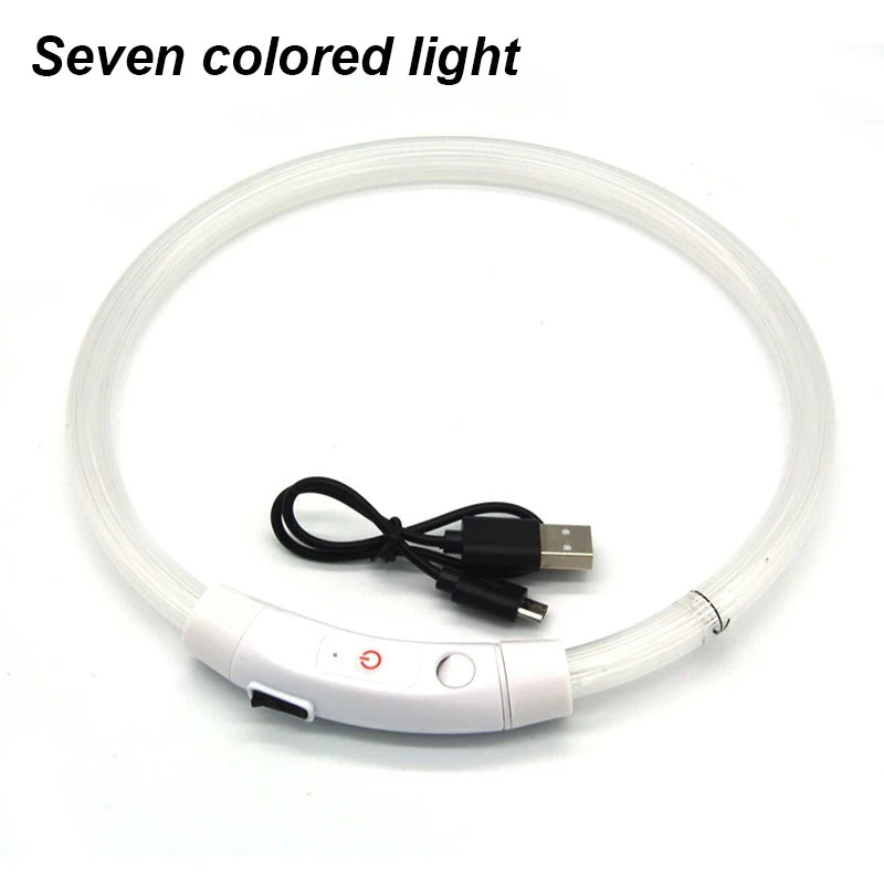 Rechargeable LED Dog Safety Collar