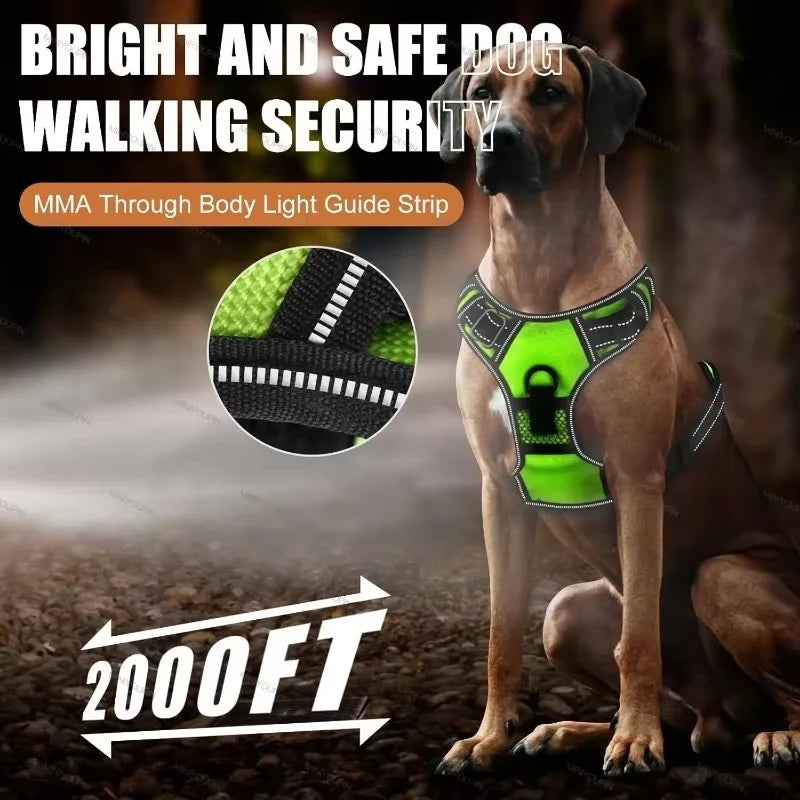 LED Luminous Dog Safety Harness
