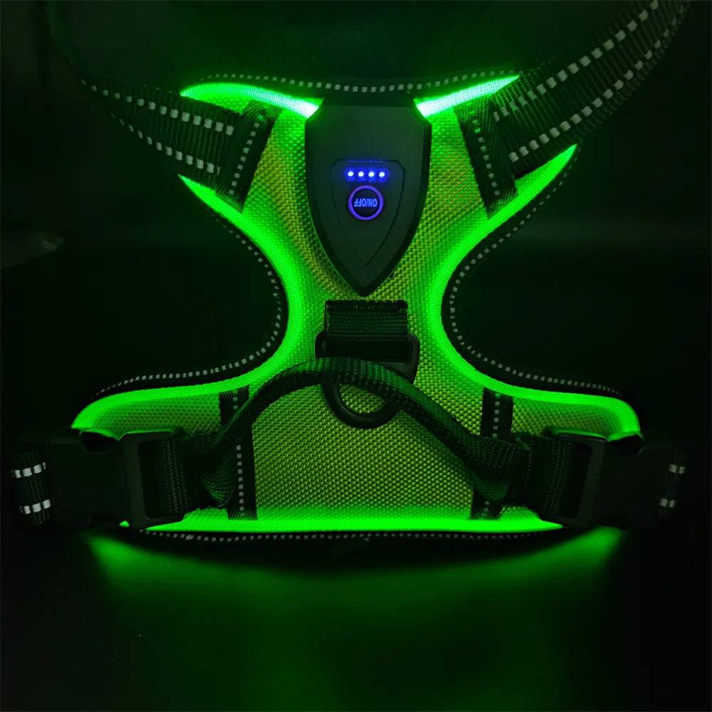 LED Luminous Dog Safety Harness