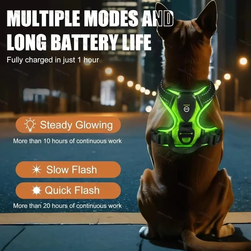 LED Luminous Dog Safety Harness