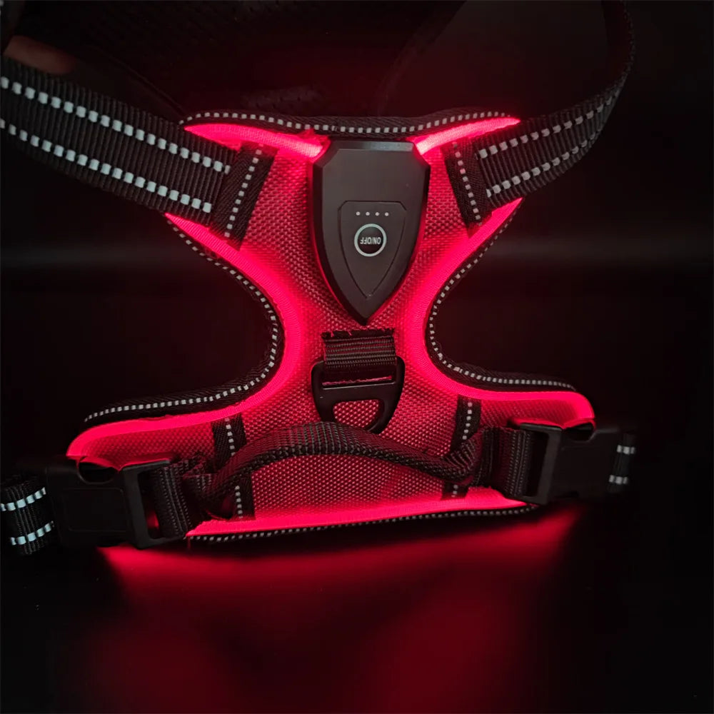 LED Luminous Dog Safety Harness