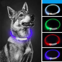 Rechargeable LED Dog Safety Collar