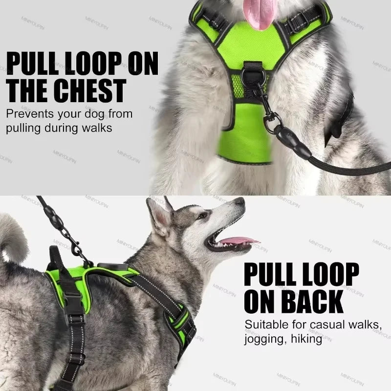 LED Luminous Dog Safety Harness