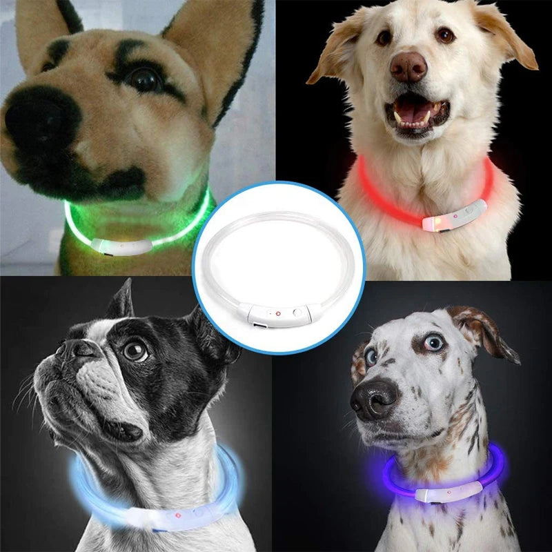 Rechargeable LED Dog Safety Collar