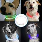 Rechargeable LED Dog Safety Collar