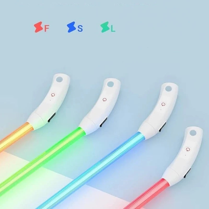 Rechargeable LED Dog Safety Collar