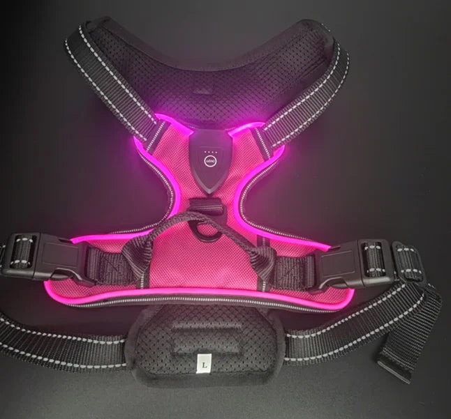 LED Luminous Dog Safety Harness