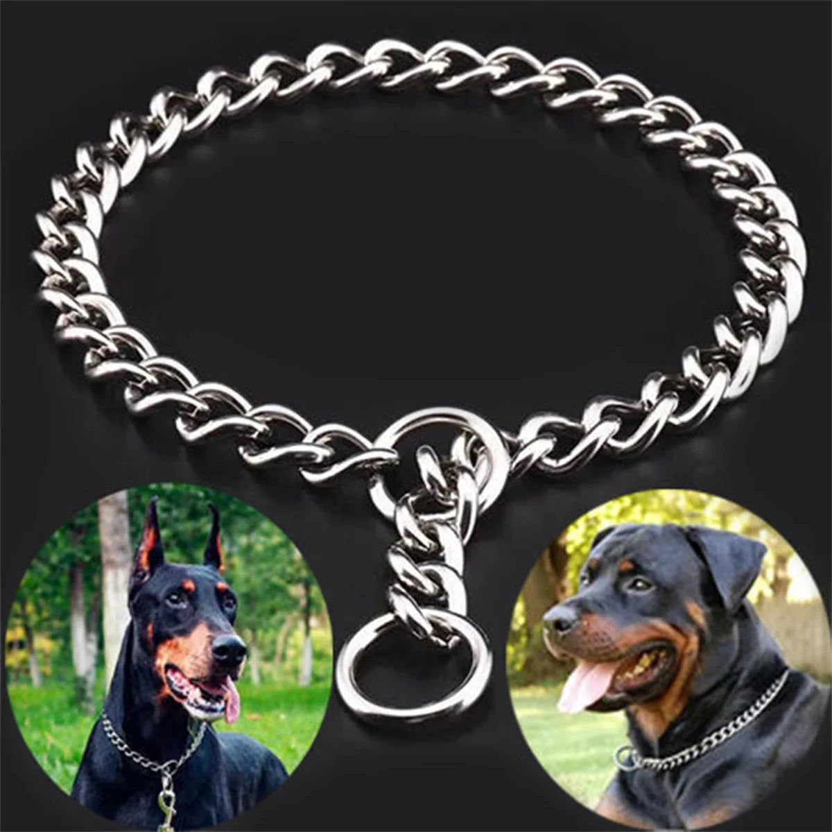 Stainless Steel Snake Chain Collar