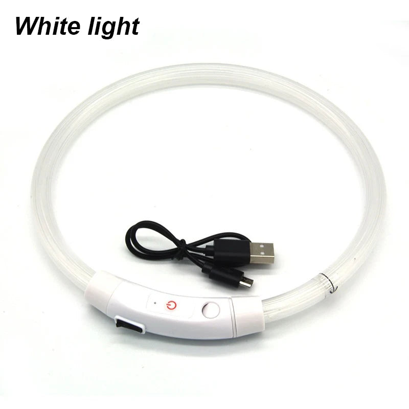 Rechargeable LED Dog Safety Collar