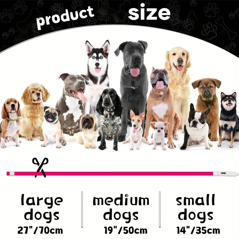 Luminous USB LED Dog Collar