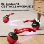 The Ultimate Interactive Smart Dog Ball | 3-Mode Motion & Auto-Play