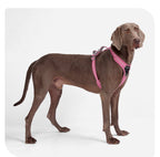Outdoor Reflective Wear-Resistant Pet Harness