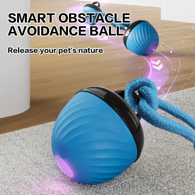 The Ultimate Interactive Smart Dog Ball | 3-Mode Motion & Auto-Play