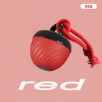 The Ultimate Interactive Smart Dog Ball | 3-Mode Motion & Auto-Play