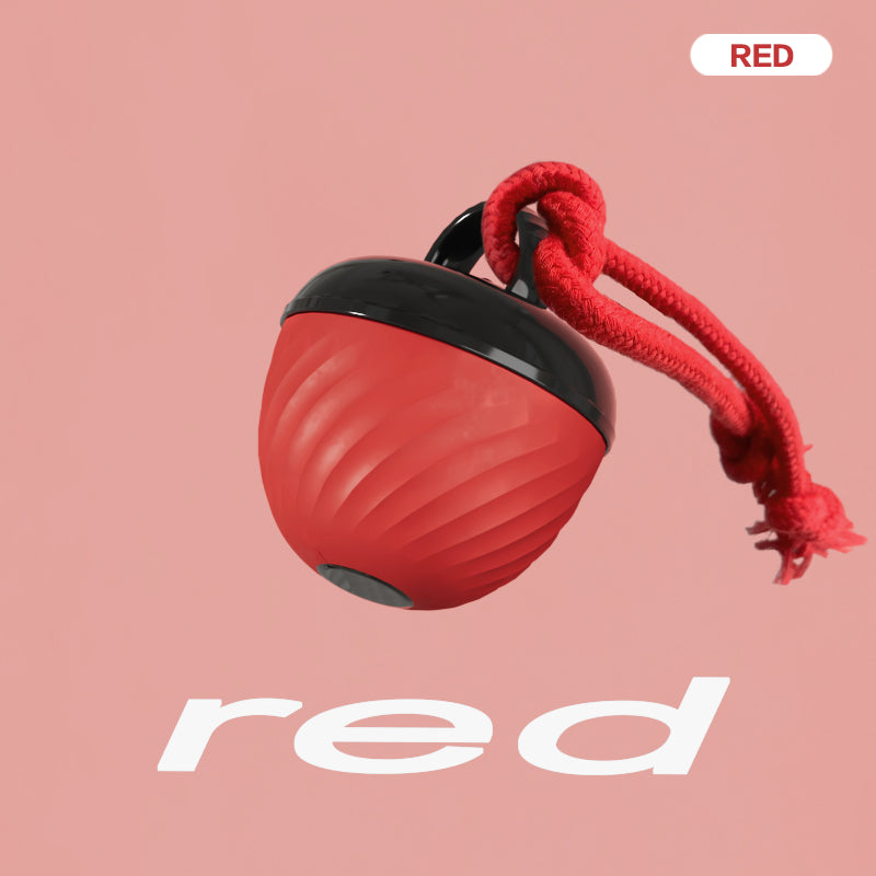The Ultimate Interactive Smart Dog Ball | 3-Mode Motion & Auto-Play