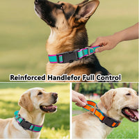 Fashionable Tactical Control Collar | Reinforced Training Handle