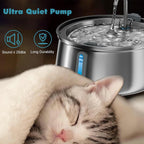 4L Cat Water Fountain For Pet Dog LED Drinking Water Bowl Automatic Dispenser