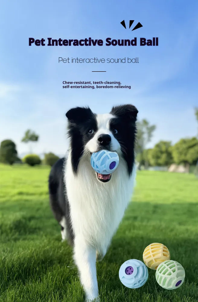 Pet Interactive Sound Ball,The Mellow Dog Cat Pet Voice Ball,Interactive Pet Squeaky Toys