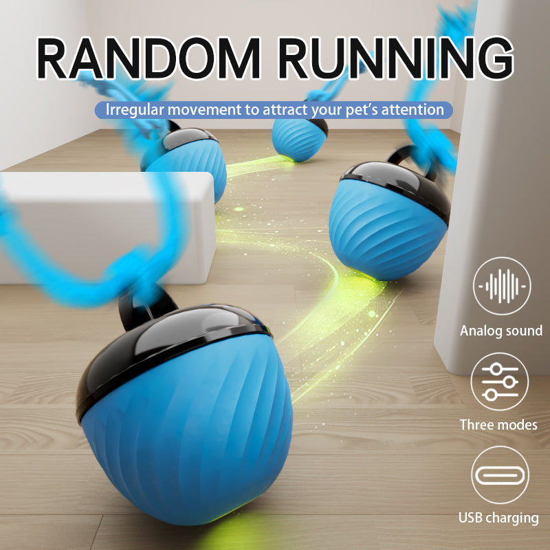 The Ultimate Interactive Smart Dog Ball | 3-Mode Motion & Auto-Play